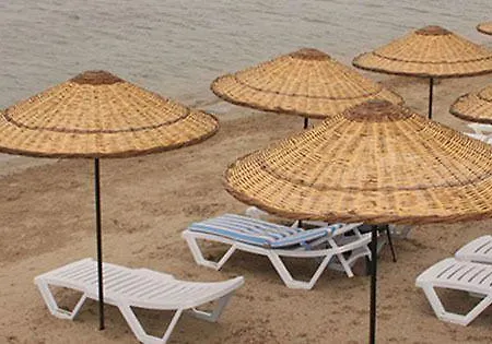 Buyuk Anadolu דידים