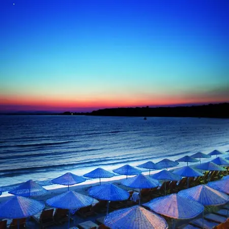 Buyuk Anadolu דידים